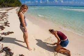 Plan your grand bahama vacation today! Bahamas East End Und Lucayan Nationalpark Tour 2021 Grand Bahama Tiefpreisgarantie