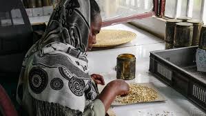 A seed bank (also seed banks or seeds bank) stores seeds to preserve genetic diversity; Indigenous Seed Banks Are Helping To Preserve Culture Boost Nutrition And Protect The Environment Ensia
