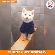 Profile for Man TV Channel