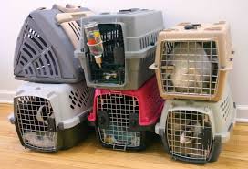 744 n center st, ste 101, mesa, az 85201. Preparing For Your Visit Avian Exotic Animal Clinic