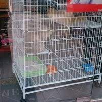 Media sports & recreation association putrajaya (mesra) adalah satu kelab yang ditubuhkan khas untuk kaki tangan media cetak dan media elektronik yang bertugas di putrajaya. Mesra Pet Shop Presint 15 Putrajaya Pet Store