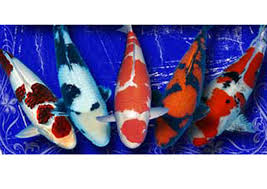 Another way is to type. How Do You Determine The Value Of A Koi
