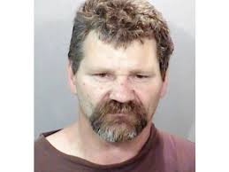 Ex-felon admits firing pistol at CHP officers, report says