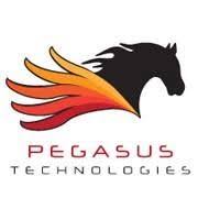 Pegasus Technologies, LLC