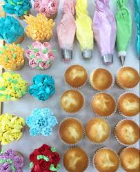 Diy Cupcake Decorating Kit Cupcakes Decoration Holiday Cakes Diy Cupcakes