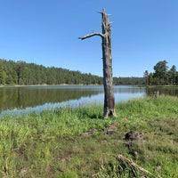 This awesome little lake is tucked away a little bit into the. Scholz Lake Williams Az