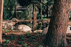 Die Kolonnen Im Fachbereich Privatgarten Leisten Zur Zeit Ebenfalls Ganze Arbeit Auch Diese Gartenanla Garten Landschaftsbau Landschaftsgartner Privatgarten