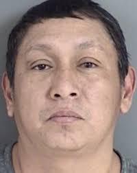 POLICE REPORTS: Animal Control takes horse with no claim