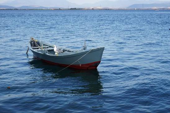 картинки : море, берег, воды, швартовка, чайка, Спокойствие, средство  передвижения, Яхта, Залив, Италия, Синий, парусная лодка, маленькая лодка,  Моторная лодка, цвета, Катание на лодках, Лодки, Судно, Porto, Сардиния,  Рыболовное судно, Шлюпка, Remi,