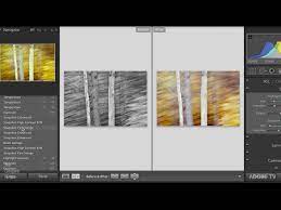 Backup strategies from julieanne kost. Essential Shortcuts For Lightroom S Develop Module Youtube
