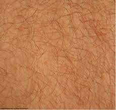 Pin By Cheila Garcia On Skin Texture Skin Textures Skin Skin To Skin