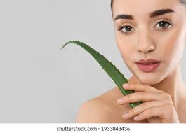 2+ Thousand Woman Aloe Holding Plant Royalty-Free Images, Stock Photos &  Pictures