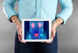 Maybe you would like to learn more about one of these? Mengenal Sistem Ekskresi Pada Manusia Dan Fungsinya Alodokter
