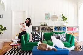 To stop your cat from spraying, try a pheromone product. How To Remove Pet Hair From Furniture Floors More Apartment Therapy