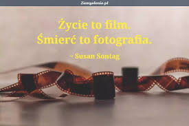 Memy - aforyzmy, cytaty i przysłowia - Zamyslenie.pl