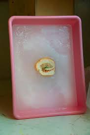 A lawsuit claims the tuna subway uses isn't real tuna. Mh1ar1uwmtwkem