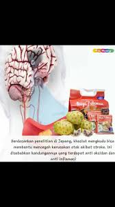 Pin Oleh Elies Ristiani Di Hni Produk Di 2020 Jepang Produk