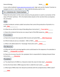 If necessary, click release enzyme. What Is The Nucleotide Sequence Of The Mrna Strand You Build