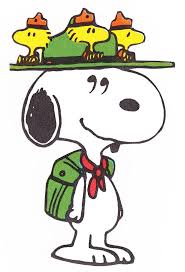 Image result for scouts