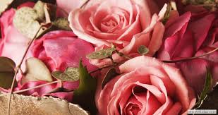 24 hour flowers los angeles. Send Flowers 24 X 7 Los Angeles Ca Same Day Flower Delivery