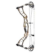 hoyt powermax hoyt archery