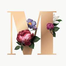 Classic And Elegant Floral Alphabet Font Letter M Transparent Png Free Image By Rawpixel Com Lettering Alphabet Fonts Floral Typography Lettering Fonts