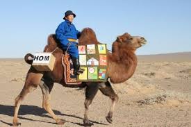 For the inspiring librarians who help keep the real. 95 Animal Bookmobile Ideas Bookmobile Mobile Library Library