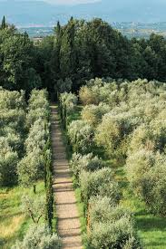 Olive Oil Is Produced On The Grounds Of This Italian Hideaway Villa Mangiacane Florence Italy Jetsetter Italy Wonders Of The World Scenery