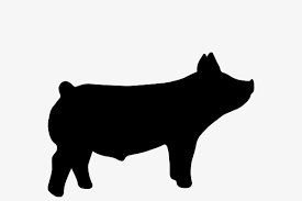 Show Pig Png Free Show Pig Png Transparent Images 93442 Pngio 500+ vectors, stock photos & psd files. show pig png free show pig png transparent images 93442 pngio