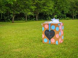 A gender reveal scavenger hunt is a fun idea for a private gender reveal for an older sibling and/or husband. What Does The Gender Reveal Fad Say About Modern Pregnancy Arts Culture Smithsonian Magazine