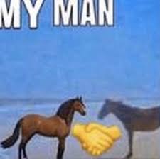 Pin By Sads On Laugh For The Comedic Effect In 2020 Stupid Funny Memes Cute Memes Funny Relatable Memes
