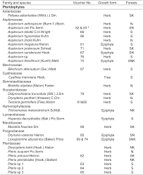 Image result for Artabotrys likimensis