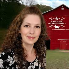 Hallmark Cocker Spaniels