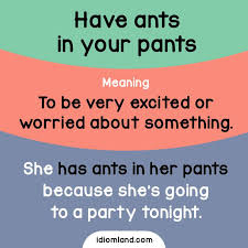 Bite Off More Than You Can Chew Idiom Meaning Idiom Of The Day Have Ants In Your Pants Meaning To Be Very Excited Or Worried About Something Exam English Vocabulary Words English Idioms Learn English