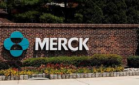 It assumes two forms, one which closely resembles uracil and the other cytosine. Us To Buy 1 7 Million Courses Of Merck S Experimental Covid 19 Pill