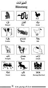 Berdasarkan penyebaran geografisnya, bahasa arab percakapan memiliki banyak variasi (dialek), beberapa dialeknya bahkan. Bahasa Arabnya Burung