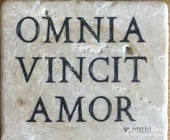 Frasi di auguri per il matrimonio: Le 90 Piu Belle Frasi In Latino Sull Amore Con Traduzione Aforisticamente