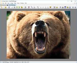 Xnview is a free software for windows that allows you to view, resize and edit your photos. Xnview 2 49 5 Complete Full Version Mazterize