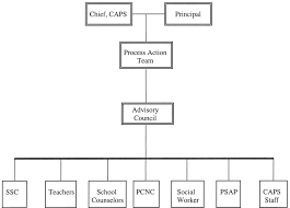 organizational structure of the solomon wellness for