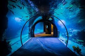 Funtastic Aquarium Izmir Funtastic Aquarium Izmir Yorumlari Tripadvisor
