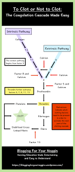 The Clotting Cascade Made Easy Blogging For Your Noggin