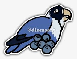Tips pemeliharaan burung lovebird dakocan. Gambar Burung Lovebird Kartun