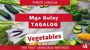 Öneri, istek, şikayet ve telif hakları bildirimi için bize mail adresinden ulaşabilirsiniz. Vegetables Filipino Tagalog Mga Gulay Youtube