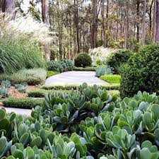 Planting Layers Starting To Make Themselves Known For Our Design Studio Garden Garden Design Plans Sloped Garden Urban Garden