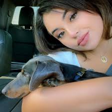 Who can help with demolition in Denison Texas?