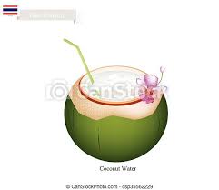 Sourcing guide for coconut water from thailand: Coconut Water Drink A Famous Beverage In Thailand Thai Cuisine Fresh Coconut Water Drink One Of The Most Popular Drink In Canstock