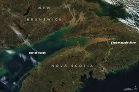 5,131 likes · 52 talking about this. Massive Muddy Tides In The Bay Of Fundy