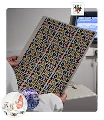 Buy ceramic ricoh c2011sp printer ceramic laser printer in himki russia — from realfoto, ooo in catalog allbiz! Fotoceramic Ceramic Transfers And Digital Ceramic Printing