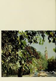 Yackety yack [serial]