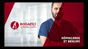 Kopeklerde Et Benleri Youtube